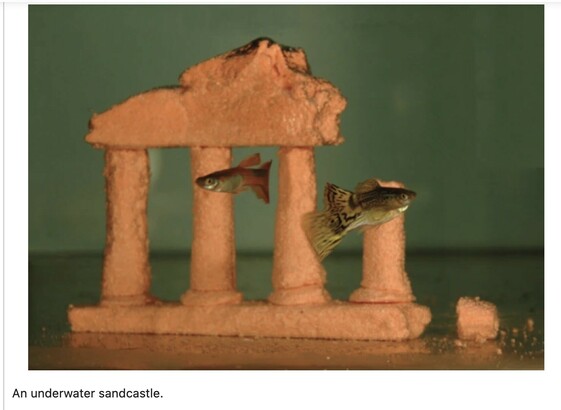 Figure 4 from the paper, showing a small underwater sandcastle with pillars and fish swimming past