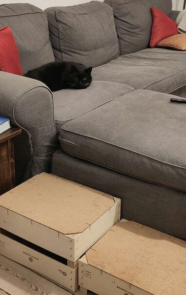 A black cat lies curled up on a grey sofa. Two wooden boxes are next to it at different levels 