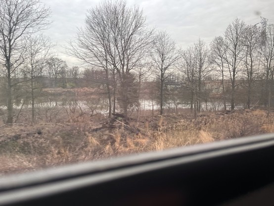 View of a Central New Jersey pond surrounded by still-leaf-free trees with the window sill of my train car blurred in the foreground. 