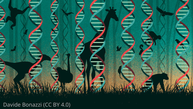 illustration of animal silhouettes walking through a forest of DNA