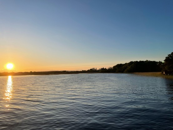 A Bay of a calm lake at sunset. Reeds in the middleground, trees to the right and the setting sun to the left. The cloudless sky is orange closer to the sun and then gradually turns blue to the upper right.