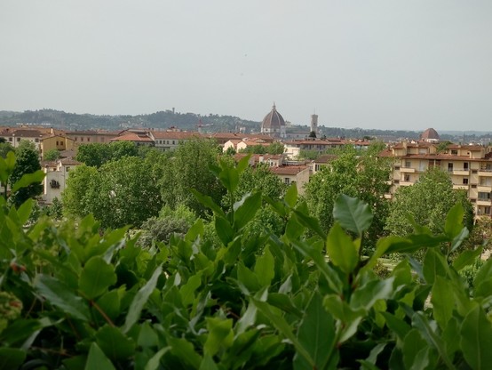 View of Florence (Italy) from the 
