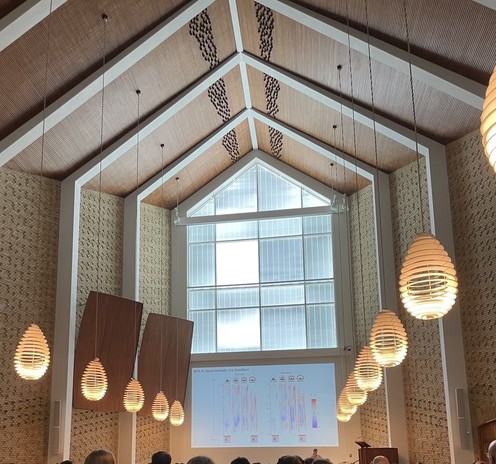 Pic of a large window, in a church-like auditorium