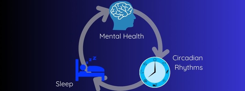 Flow diagram linking Mental Health to Sleep and Circadian Rhythms