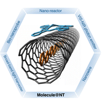 A schematic of an organic molecule encapsulated within a single-walled carbon nanotube labelled as 