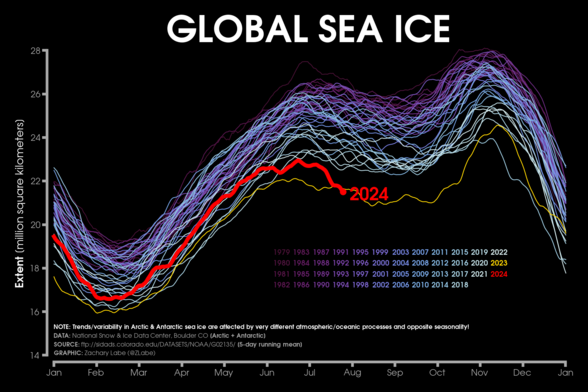 Line graph time series of 2024's daily global sea ice extent in red shading compared to each year from 1979 to 2022 using shades of purple to white for each line. 2023 is annotated in yellow, which was a record low in the boreal summer months. There is substantial interannual and daily variability. Seasonal cycles are visible. A disclaimer is shown, which states: Trends/variability in Arctic and Antarctic sea ice are affected by very different atmospheric/oceanic processes and opposite seasonality!