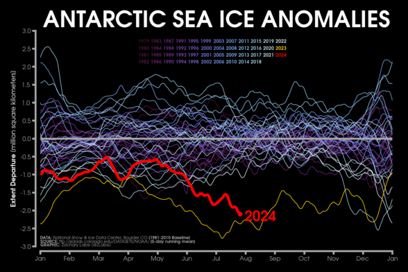 Line graph time series of 2024's daily Antarctic sea ice extent anomalies in red shading compared to each year from 1979 to 2022 using shades of purple to white for each line. Anomalies are computed relative to a 1981-2010 baseline. 2023 is the record low for most days, which is shown in yellow. There is substantial interannual and daily variability. There are no clear long-term trends.