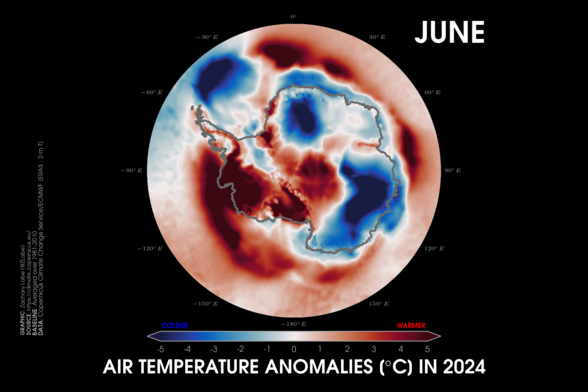 Polar stereographic map of 2-m air temperature anomalies in the Antarctic for June 2024. Red shading is shown for warmer anomalies, and blue shading is shown for colder anomalies. There is a sharp gradient in temperature anomalies across the continent. Anomalies are calculated relative to a 1981-2010 baseline.