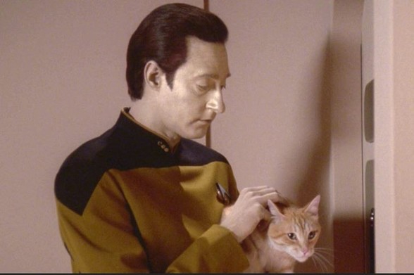 Data from Star Trek holding Spot, his cat.