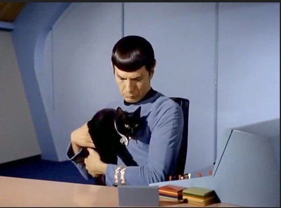 Spock from Star Trek holding a cat.