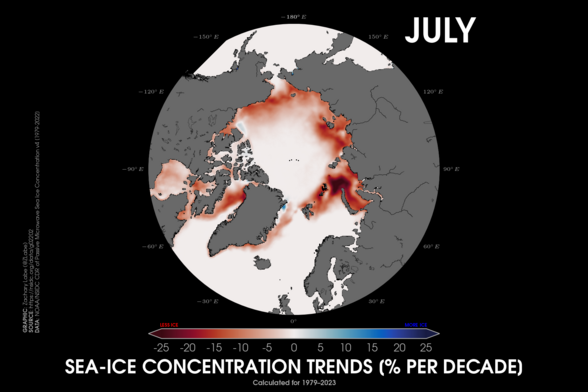 Polar stereographic map showing Arctic sea ice concentration trends for Julys from 1979 to 2023. Red shading is shown for deceasing sea ice, and blue shading is shown for increasing sea ice. Trends are calculated in % per decade. All areas are observing decreasing sea ice in the outer edges of the Arctic Ocean.