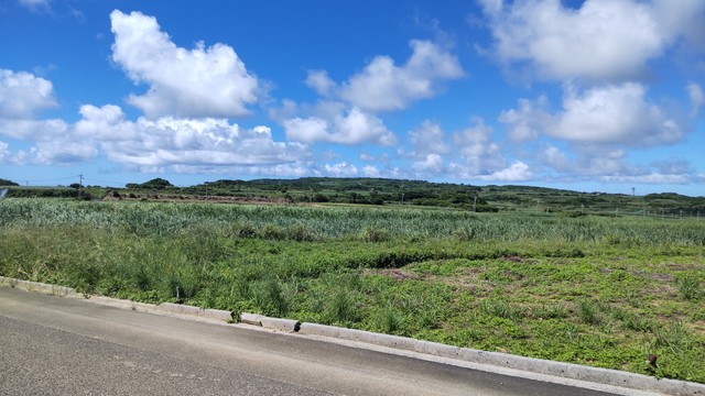 In the distance is a vegetated hill, which has coral reef fossils in it. In the foreground are some crops and the road I am standing on. this is in northern Kikaijima.