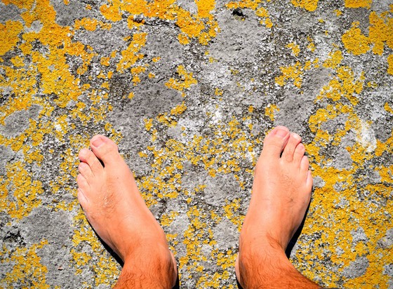 A photograph of my bare feet standing on a lichen covered boulder.