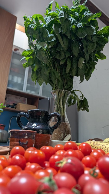 Towering basil bunch