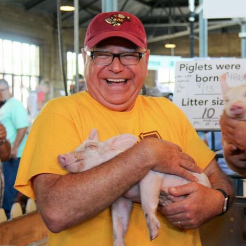 Governor Walz in a yellow t-shirt and red cap at a farm fair, cuddling a sleeping baby piglet, and smiling broadly with obvious delight.