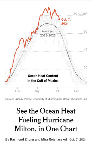 A graphic from the NYTimes showing ocean heat  content anomalies for the Gulf of Mexico. 