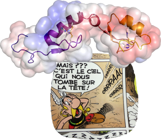 Astérix:
MAIS??
C'EST LE CIEL
QUI NOUS
TOMBE SUR
LA TÊTE!